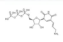 CAS號：112131-73-4，Aminoallyl-UTP，氨基烯丙基尿苷三磷酸