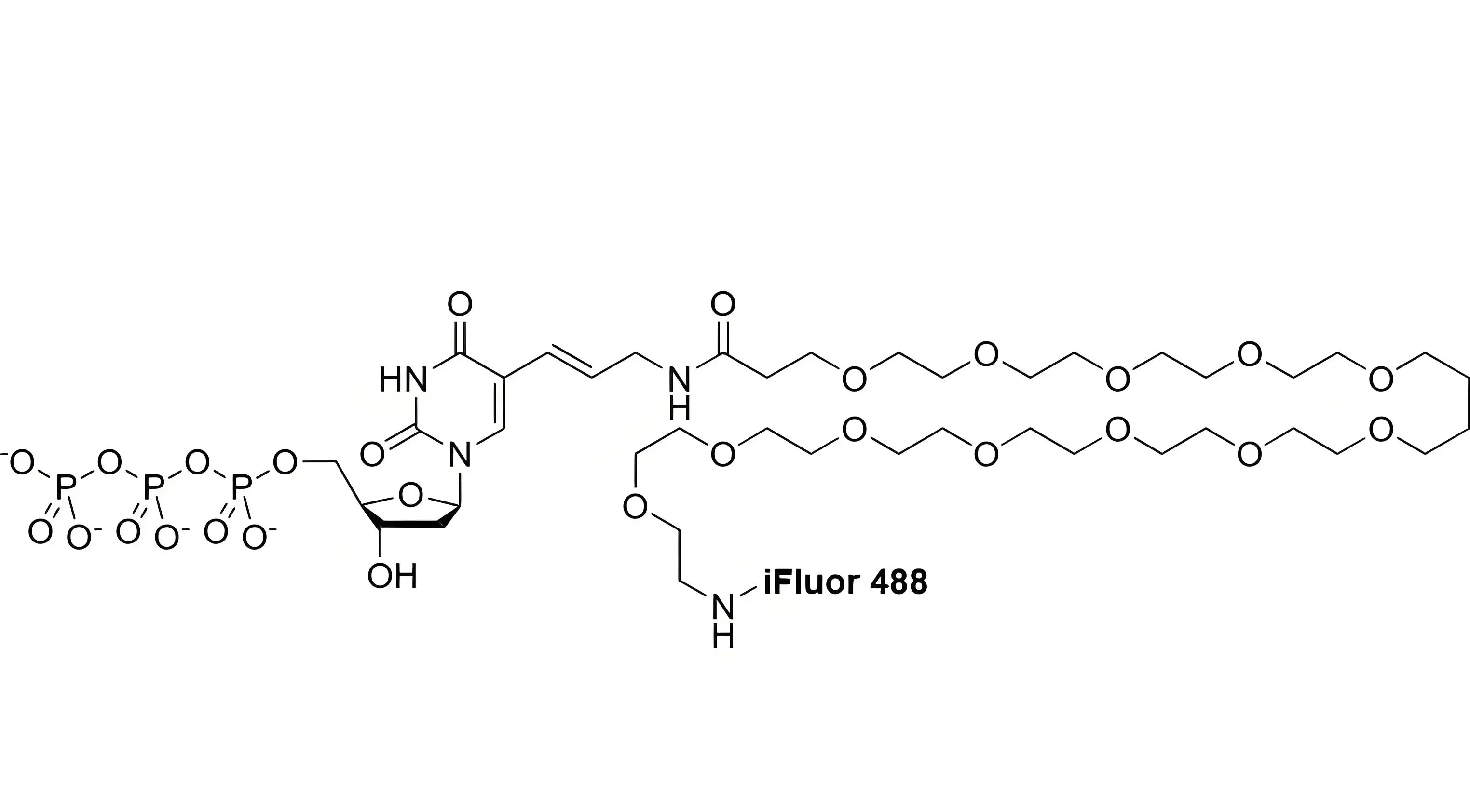 iFluor488-PEG12-dUTP，iFluor488-十二聚乙二醇-脫氧尿苷三磷酸的光譜特性解析及FISH濾光片選配指南