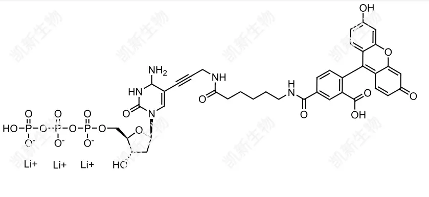 FAM-11-dCTP，熒光素標(biāo)記脫氧胞苷三磷酸：高效熒光標(biāo)記的脫氧胞苷三磷酸衍生物及其分子生物學(xué)應(yīng)用