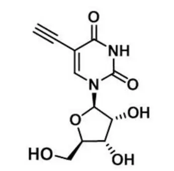 5-Ethynyluridine，5-EU，69075-42-9，核心結(jié)構(gòu)特點(diǎn)是在尿苷的5位碳上引入了一個(gè)乙炔基