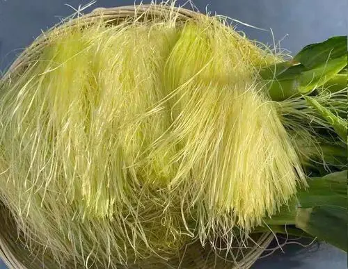 痛風(fēng)食療指南！8種低嘌呤食物建議常吃，溫和緩解不適少復(fù)發(fā)